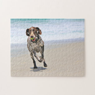Quebra-cabeça Ponteiro de cabelos curtos alemão - Luke - Riley
