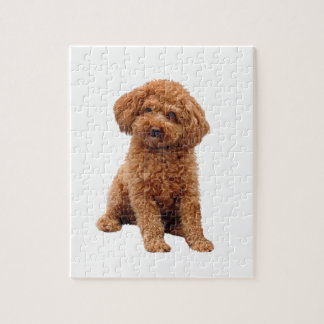 Quebra-cabeça Poodle - Brinquedo (Damasco)
