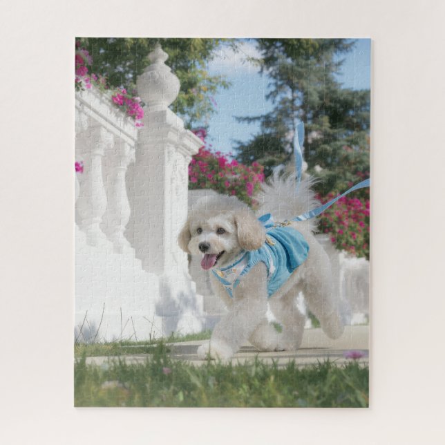 Quebra-cabeça Poodle Trotador (Vertical)