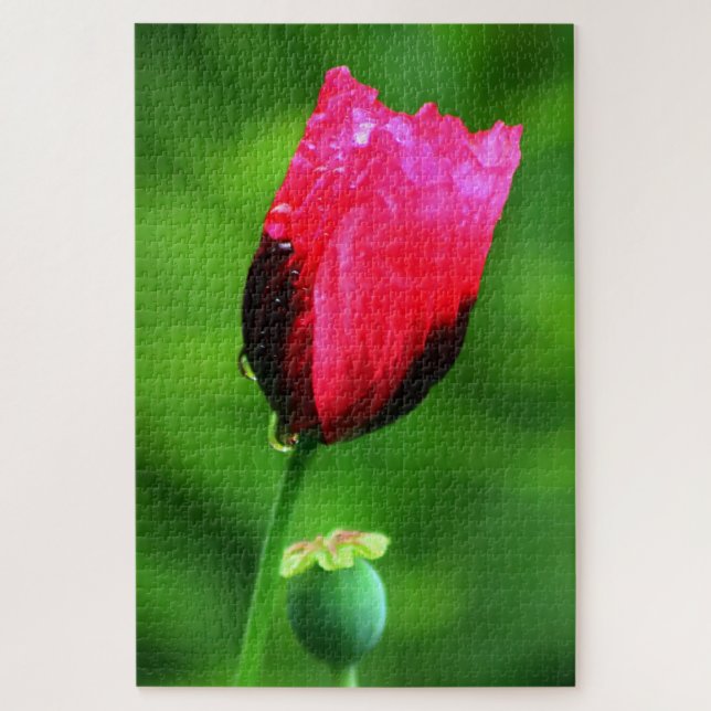 Quebra-cabeça Poppy e Raindrops (Vertical)