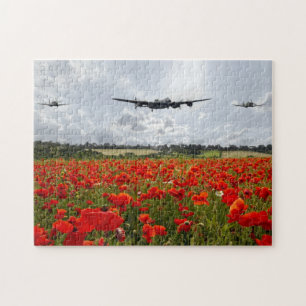 Quebra-cabeça Poppy Flypass