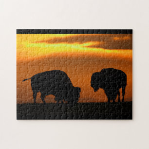 Quebra-cabeça por do sol do bisonte