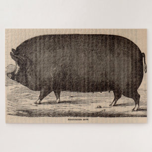Quebra-cabeça Porco do século XIX impressão Berkshire porca n.o