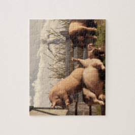 Quebra-cabeça Porcos bêbedos