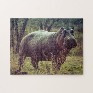 Quebra-cabeça Posicionando Hippo na Câmara na Folhagem da África