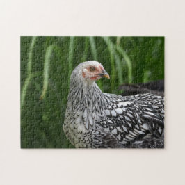 Quebra-cabeça Posing Hen