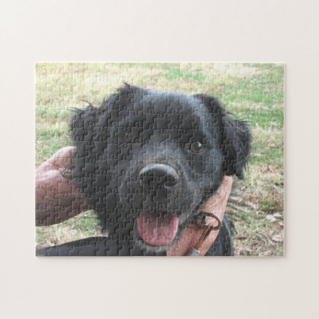 Quebra-cabeça Posse De Fumaça Para Câmera (Horizontal)