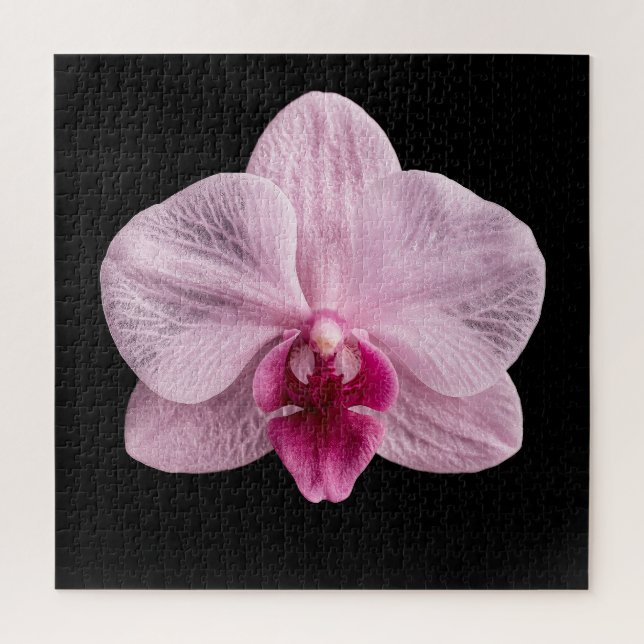 Quebra-cabeça Pôster da Coleção de Orquídeas Botânicas Elegantes (Vertical)