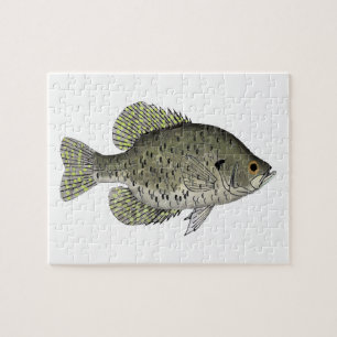 Quebra-cabeça Poster de Crappie Preto