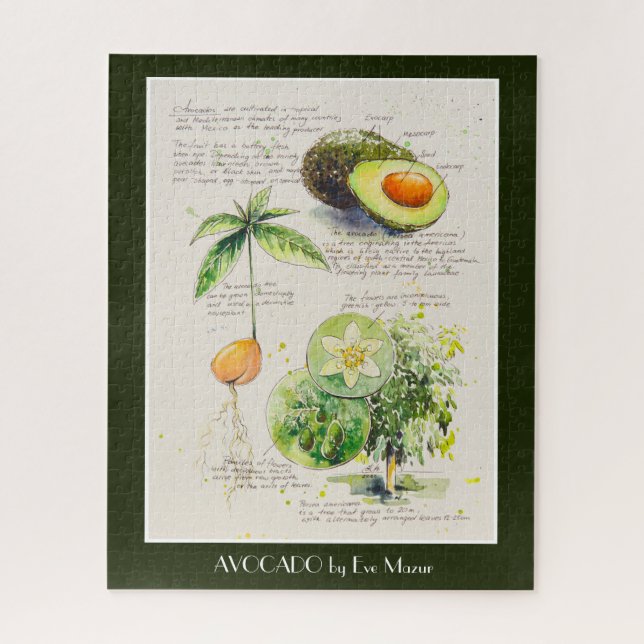 Quebra-cabeça POSTER de ilustração botânica do Avocado Pintado p (Vertical)