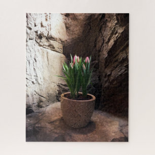 Quebra-cabeça Pote de Tulipas em um Grotto