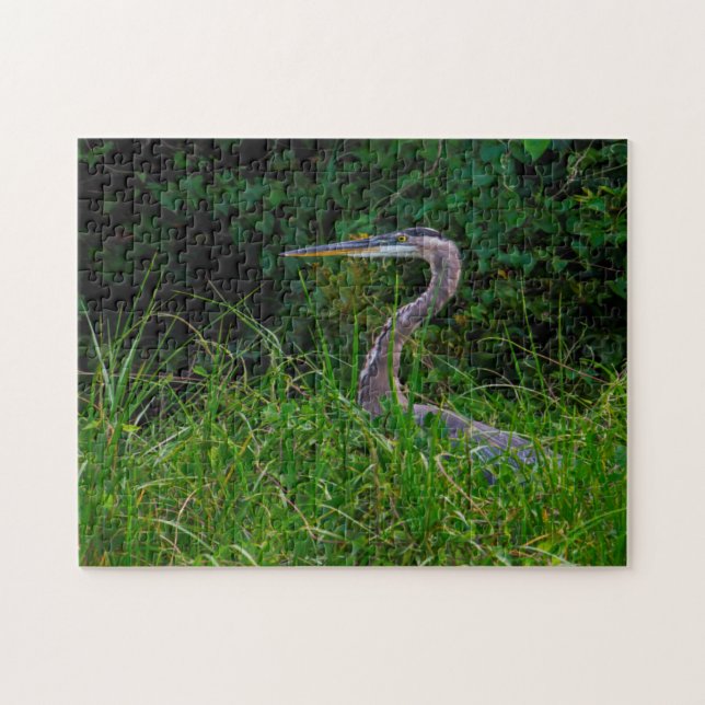 Quebra-cabeça Praia Heron Flórida. (Horizontal)