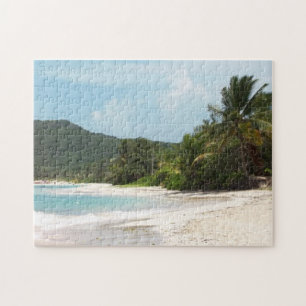 Quebra-cabeça Praia Puerto Rico do Flamenco de Culebra