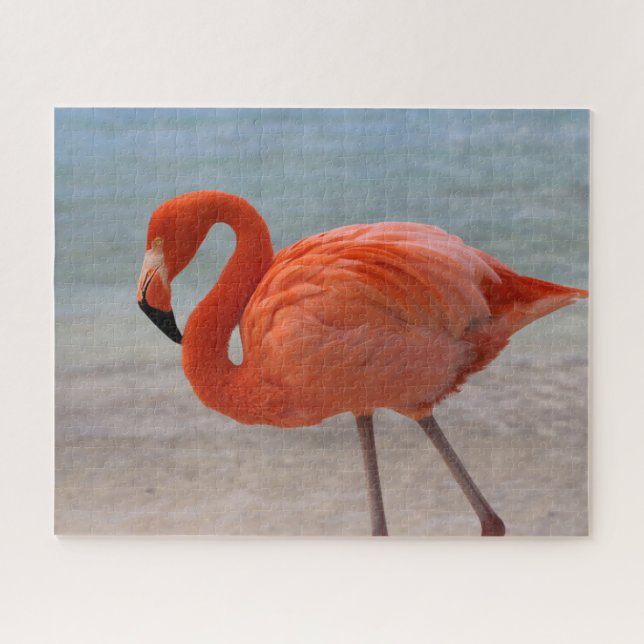 Quebra-cabeça Praias Tropicais | Caribe Flamingo, Aruba (Horizontal)