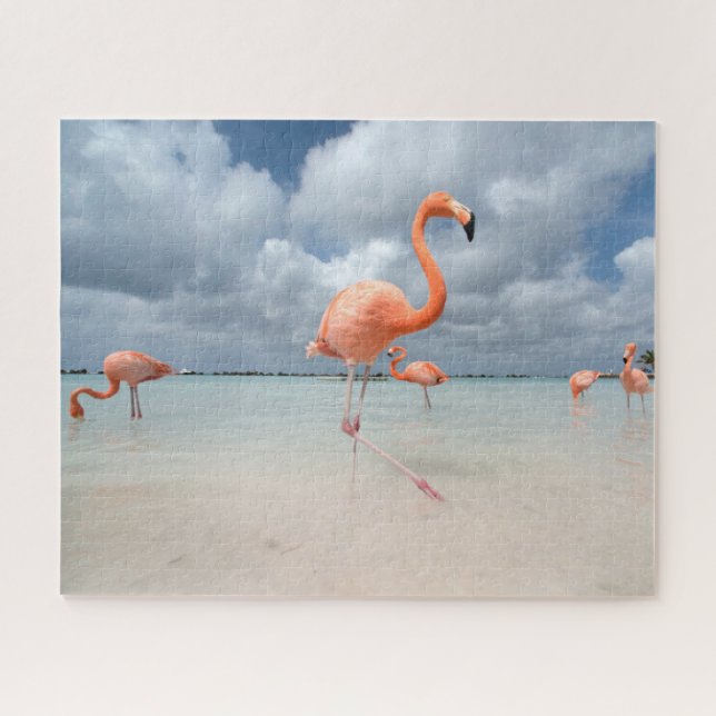 Quebra-cabeça Praias Tropicais | Flamingos Beach, Aruba (Horizontal)