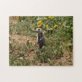 Quebra-cabeça Prairie Dog