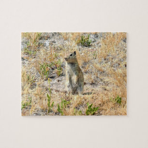 Quebra-cabeça Prairie Dog em Yosemite, CA