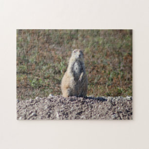 Quebra-cabeça Prairie Dog no Parque Nacional de Badlands, Interi