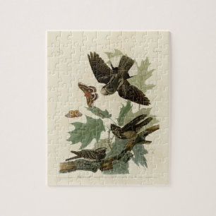 Quebra-cabeça Presente de Pintagem Vintage Audubon