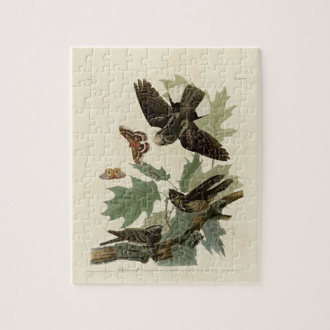 Quebra-cabeça Presente de Pintura Vintage Audubon Whip-Will (Vertical)