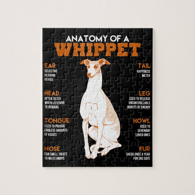 Quebra-cabeça Presente no cão | anatomia de um cão chicote em do (Vertical)