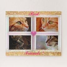 Presente popular de gatos da família