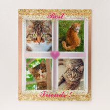 Presente popular de gatos da família