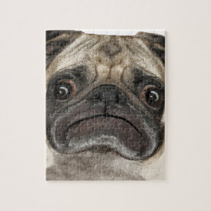 Quebra-cabeça Presentes de Puggy Grumpy