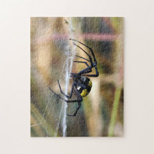 Quebra-cabeça preto & amarelo da aranha de jardim
