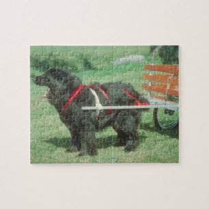 Quebra-cabeça preto do cão do carro de Terra Nov