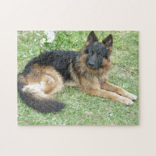 Quebra-cabeça Preto e Alsatian de Tan