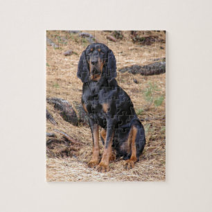 Quebra-cabeça Preto e cão do Coonhound de Tan