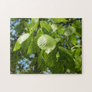 Quebra-cabeça Primavera Birch deixa árvore verde