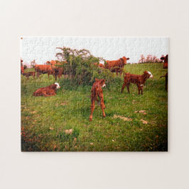 Quebra-cabeça Primavera Calves