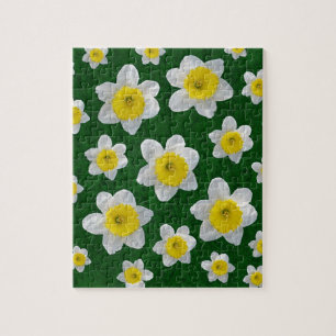 Quebra-cabeça Primavera Daffodils