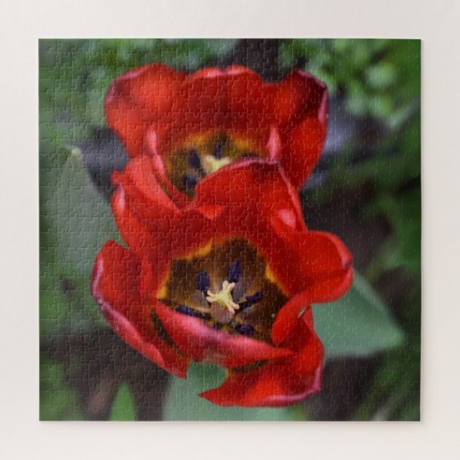 Quebra-cabeça Primavera despertar, Tulipas (Vertical)