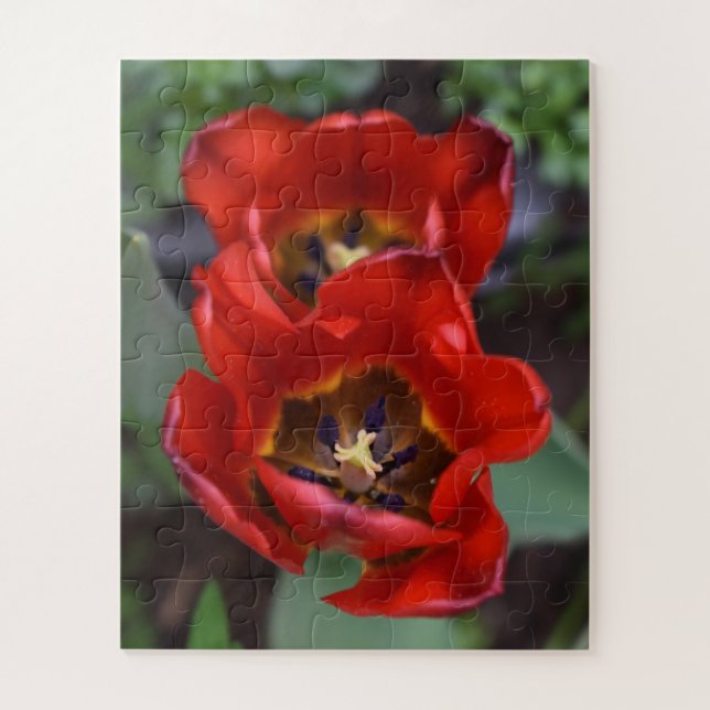 Quebra-cabeça Primavera despertar, Tulipas (Vertical)