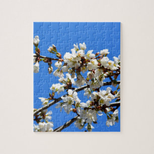 Quebra-cabeça primavera floresce