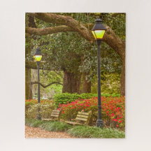 Primavera no savana, GA, parque de Forsyth,