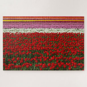 Quebra-cabeça Primavera Tulip Super Challenge