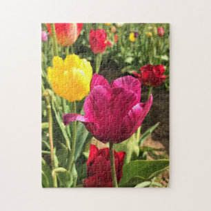 Quebra-cabeça Primavera Tulips, Oregon