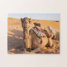Primeiro plano de camelo engraçado no deserto de W