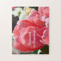 Promovido à avó confunde o anúncio da gravidez