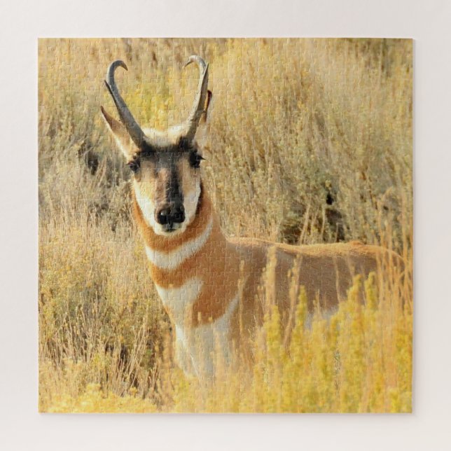 Quebra-cabeça Pronghorn Buck (Vertical)