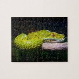 Quebra-cabeça Proprietário do Cobra da Árvore Verde Python