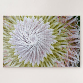 Quebra-cabeça Protea cynaroides Protea-Rei.