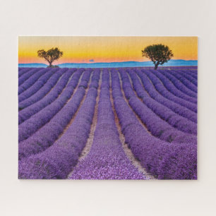 Quebra-cabeça Provença, França. Planalto de Valensole.