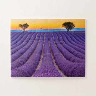 Quebra-cabeça Provença, França. Planalto de Valensole.