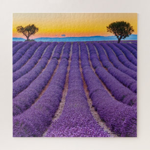 Quebra-cabeça Provença, França.Plateau de Valensole.
