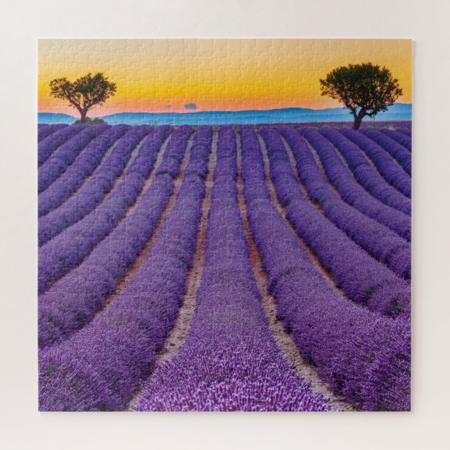 Quebra-cabeça Provença, França.Plateau de Valensole. (Horizontal)